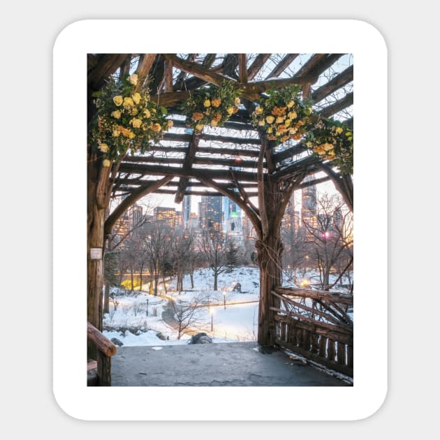 Central Park Winter Sticker by igjustin